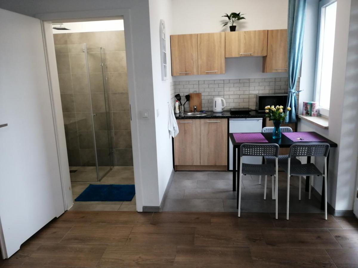 Pokoje - Studio Gliwice I Przy Onkologii Dış mekan fotoğraf
